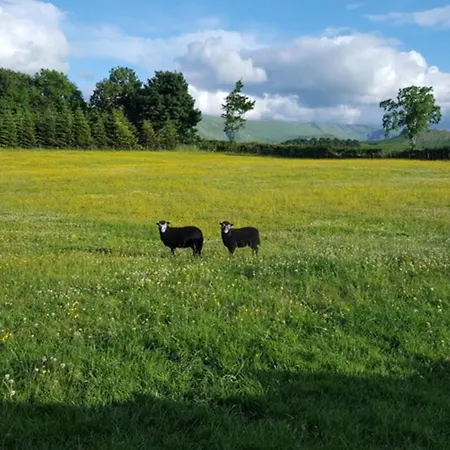 1 Bed In Ullswater 94069 *