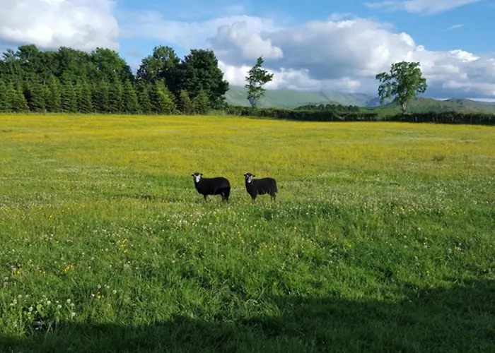 1 Bed In Penrith Oc-94069 Nyaraló